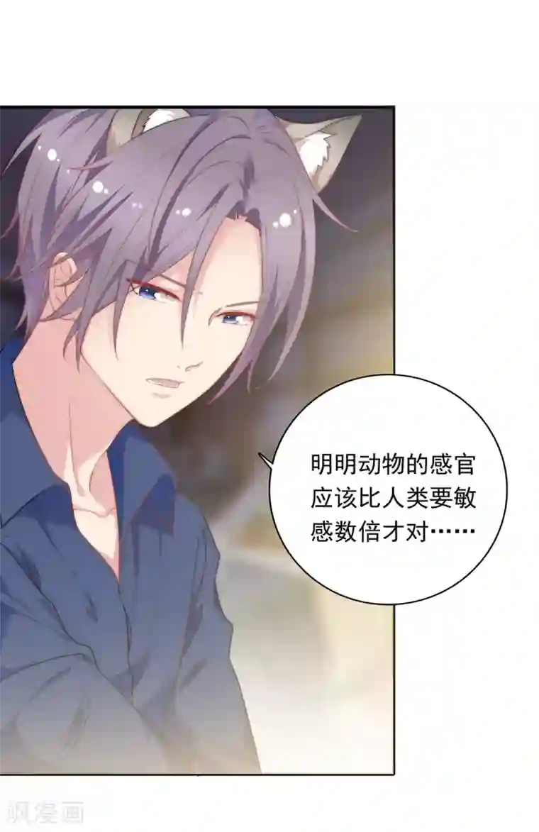 恋爱超速第18话 春天的动物本性