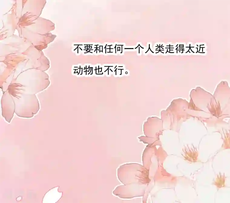 恋爱超速第20话 师父，好痒~