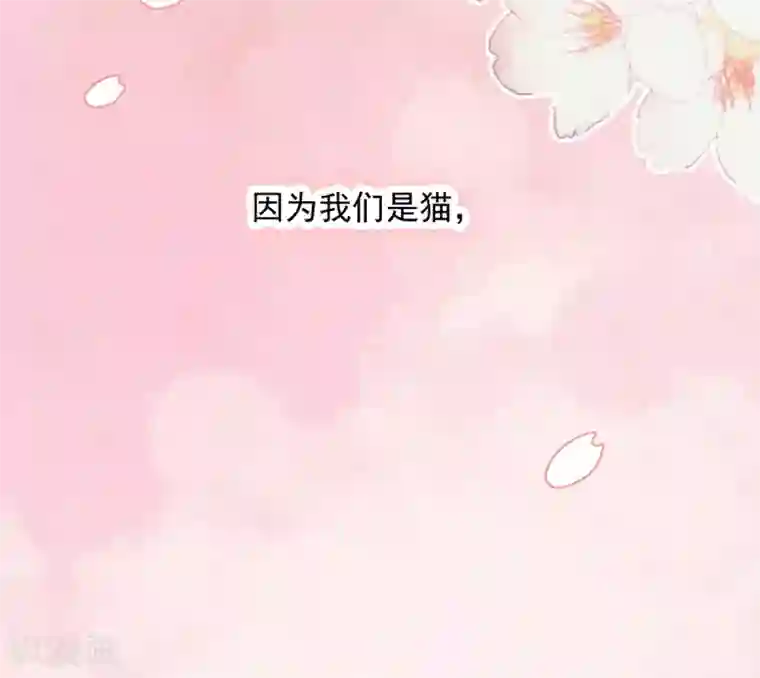 恋爱超速第20话 师父，好痒~