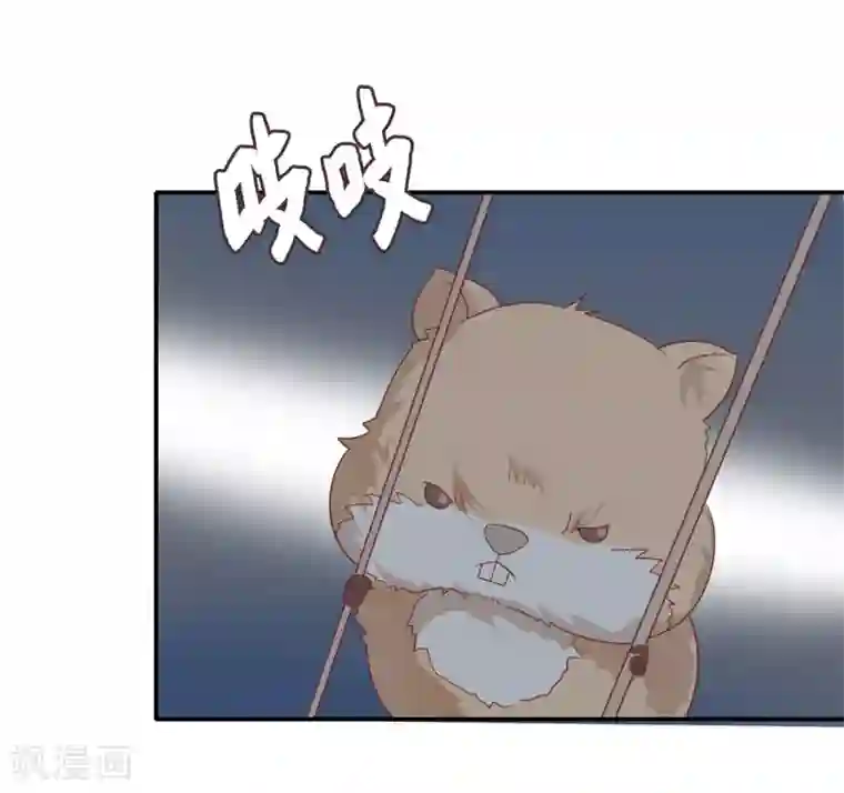 恋爱超速番外4 同居日常