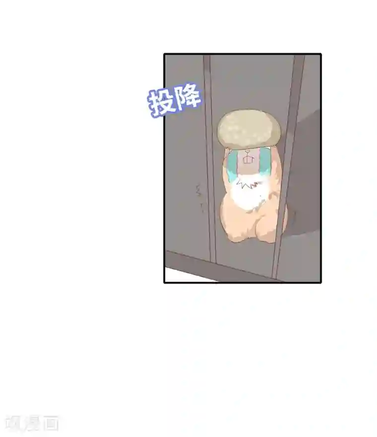 恋爱超速番外4 同居日常