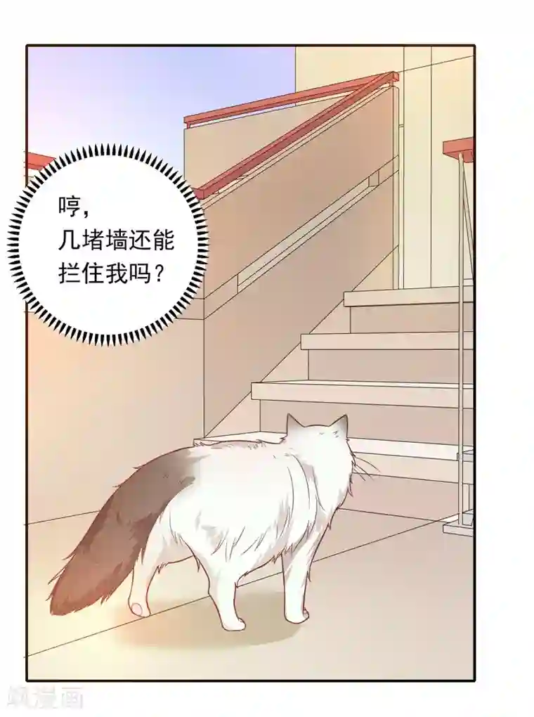 恋爱超速第27话 口是心非