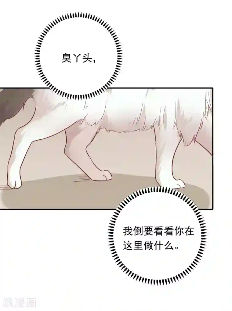 恋爱超速第27话 口是心非