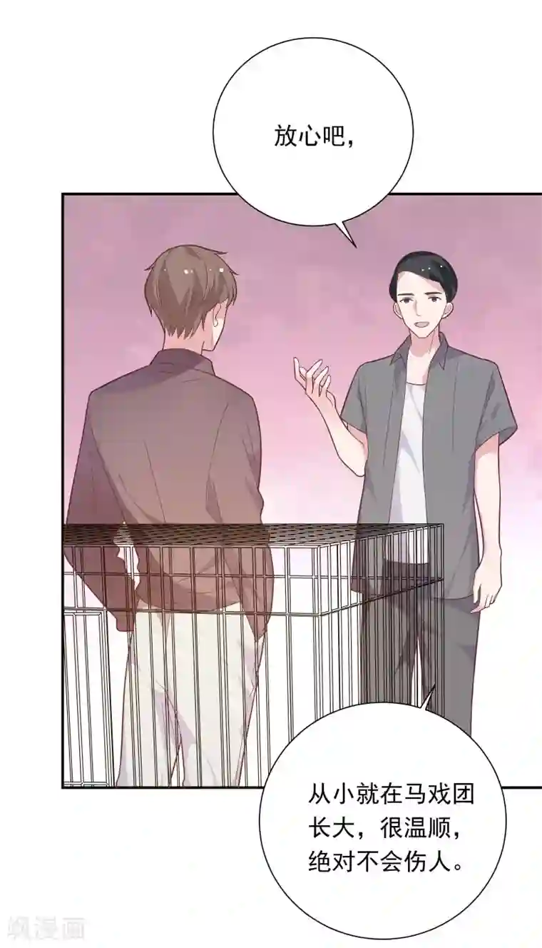 恋爱超速第40话 就决定是你了！