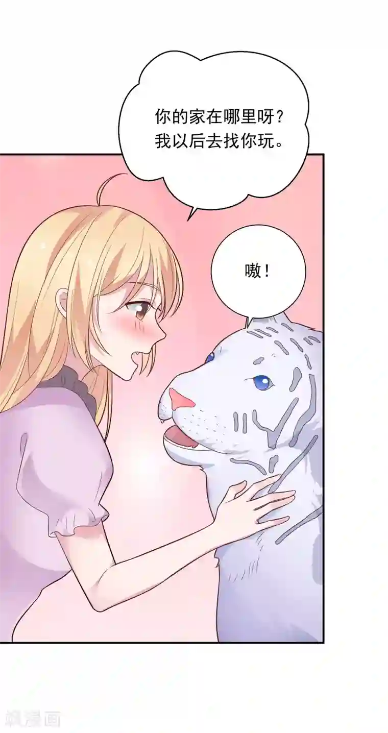 恋爱超速第41话 撸猫咪