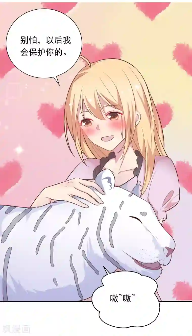 恋爱超速第41话 撸猫咪