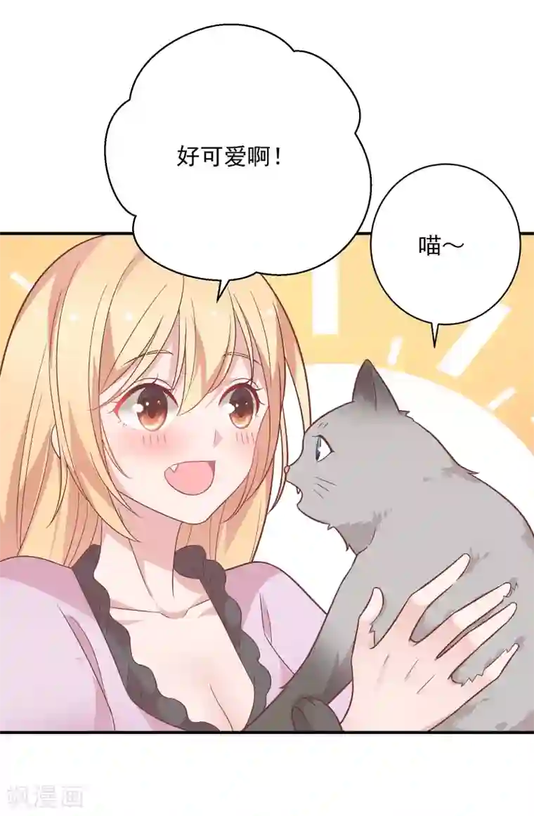 恋爱超速第41话 撸猫咪