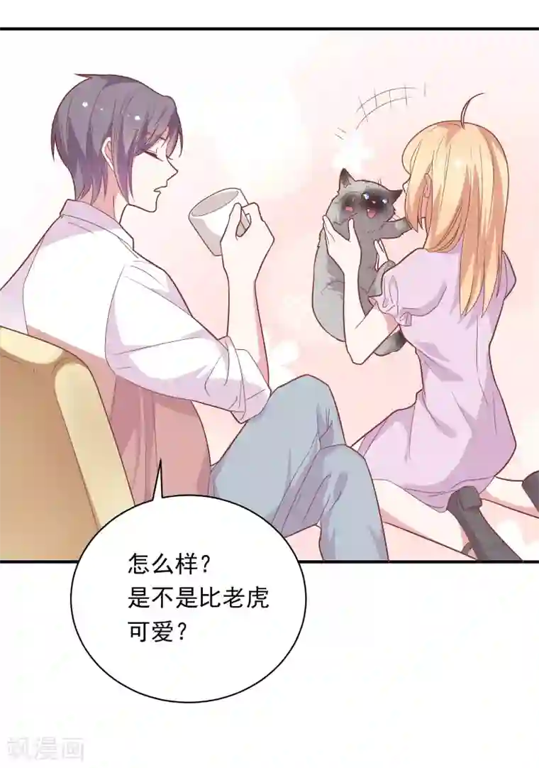 恋爱超速第41话 撸猫咪