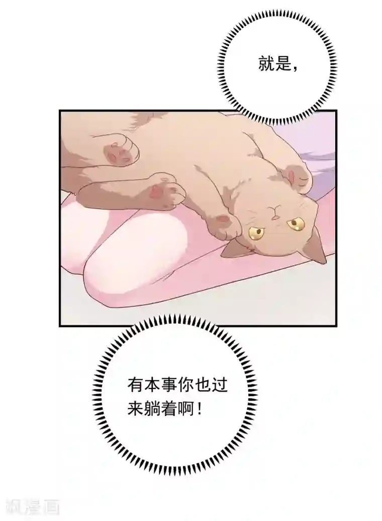 恋爱超速第41话 撸猫咪