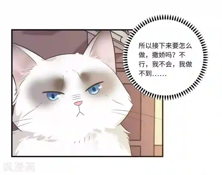 恋爱超速第42话 醋意大发