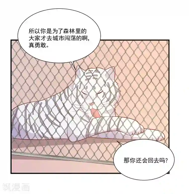 恋爱超速第47话 不想离开你