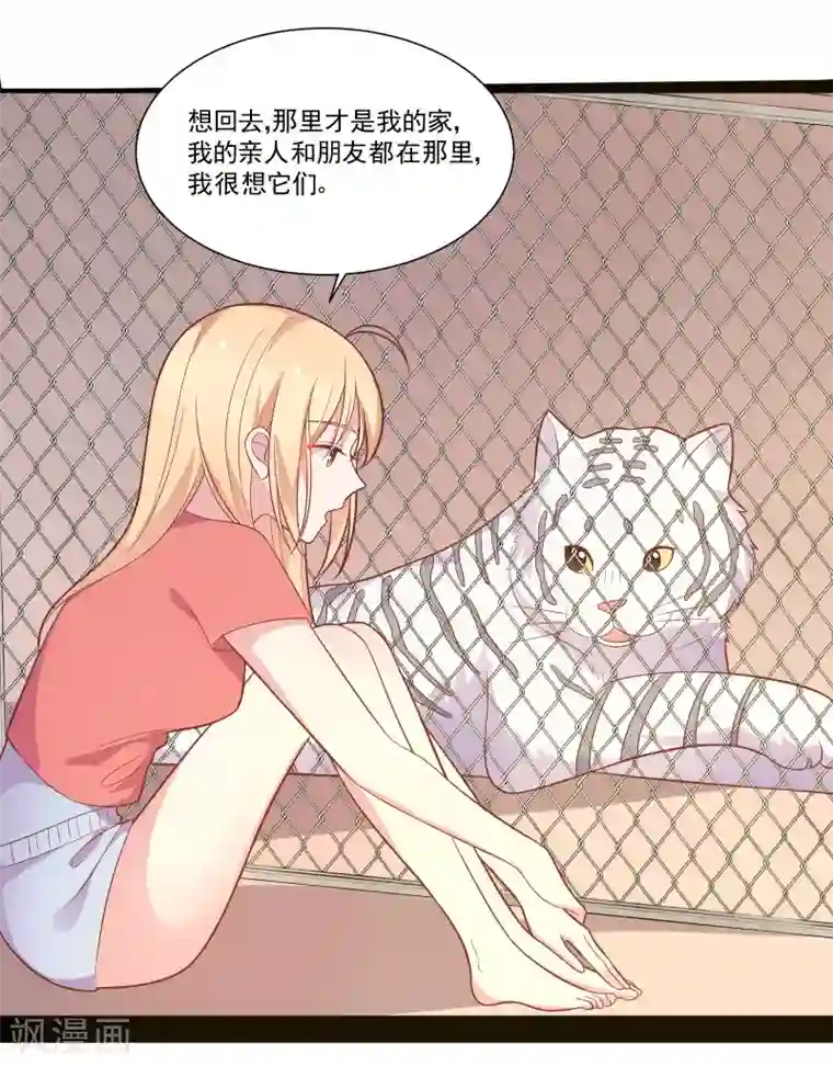 恋爱超速第47话 不想离开你