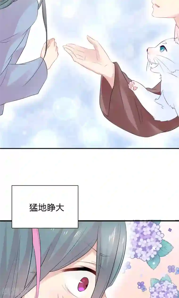 龙太子想吃唐僧肉第42话