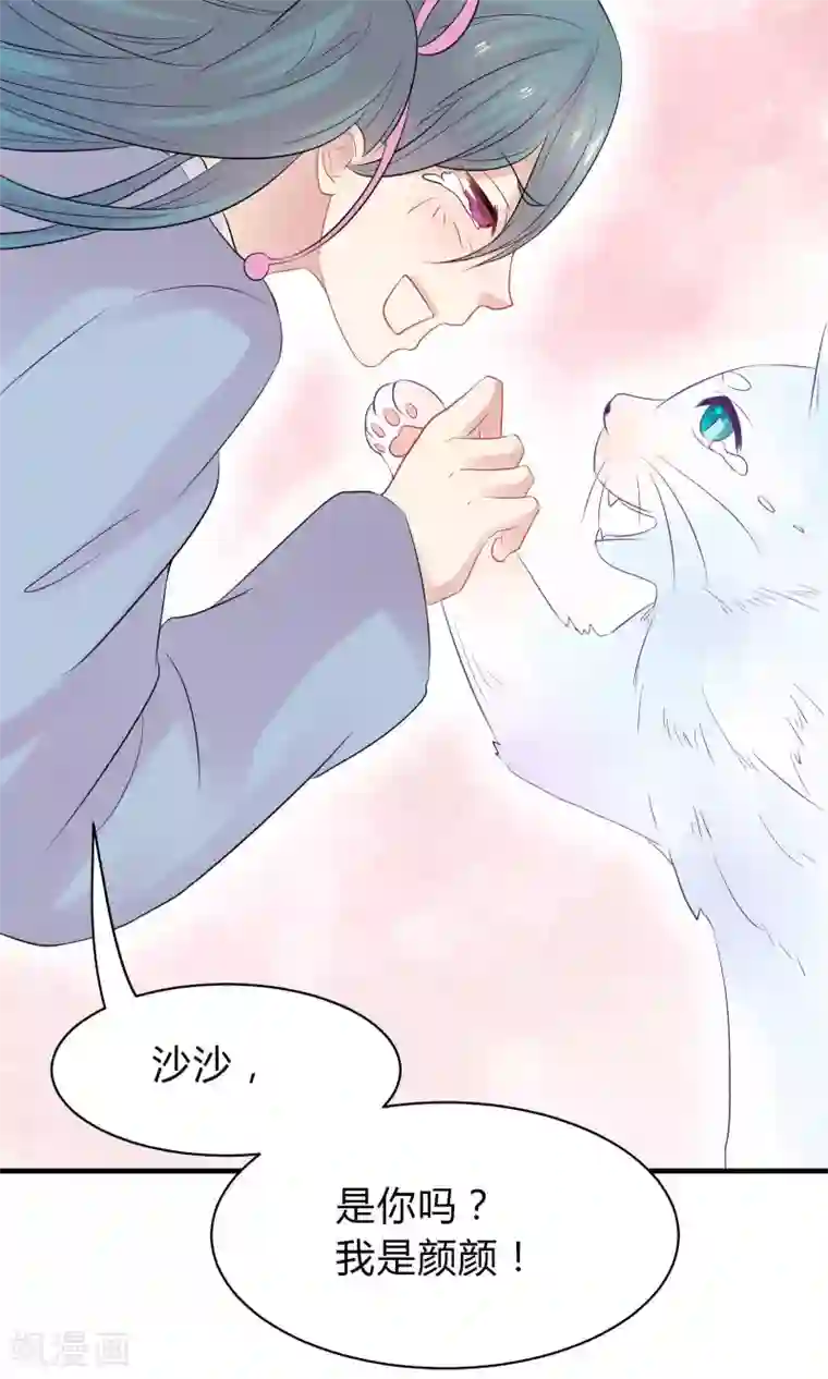 龙太子想吃唐僧肉第42话