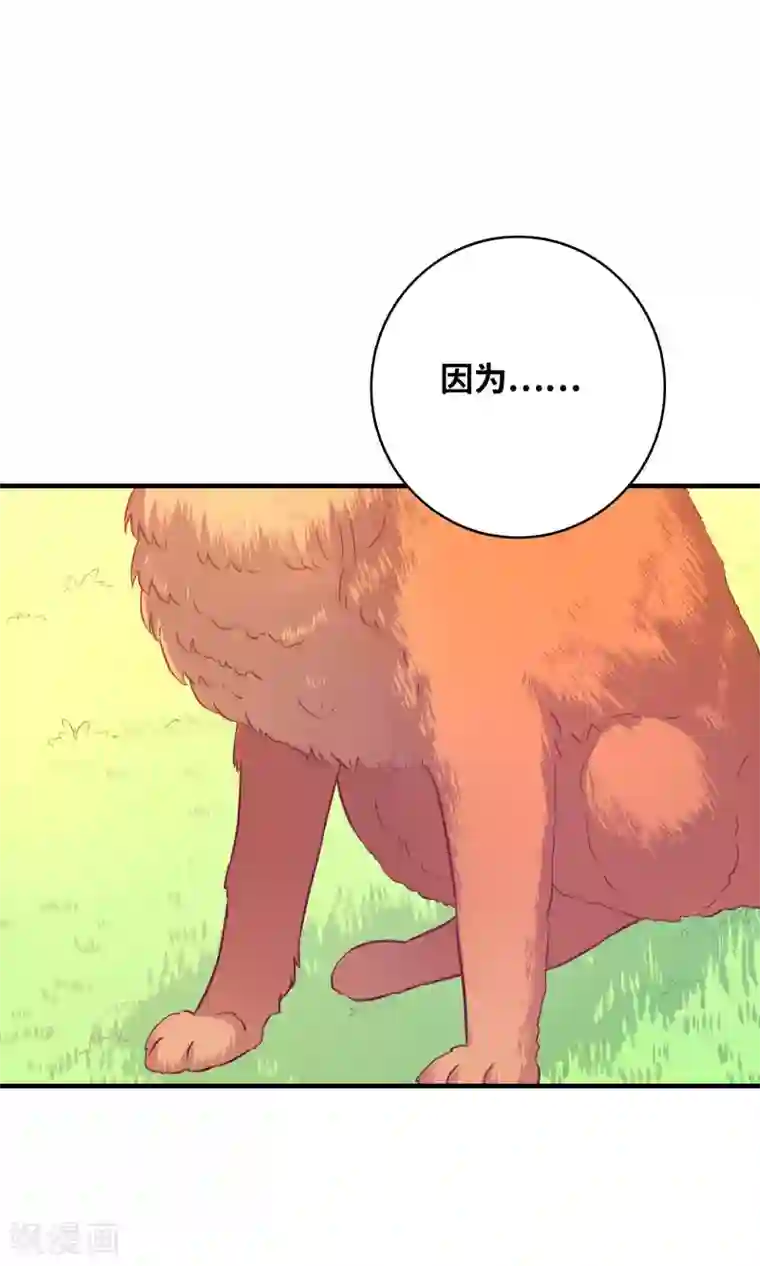龙太子想吃唐僧肉第79话
