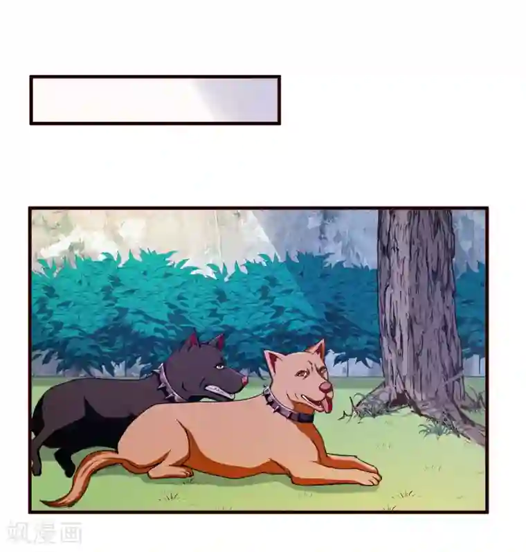 超品战兵第20话 报复