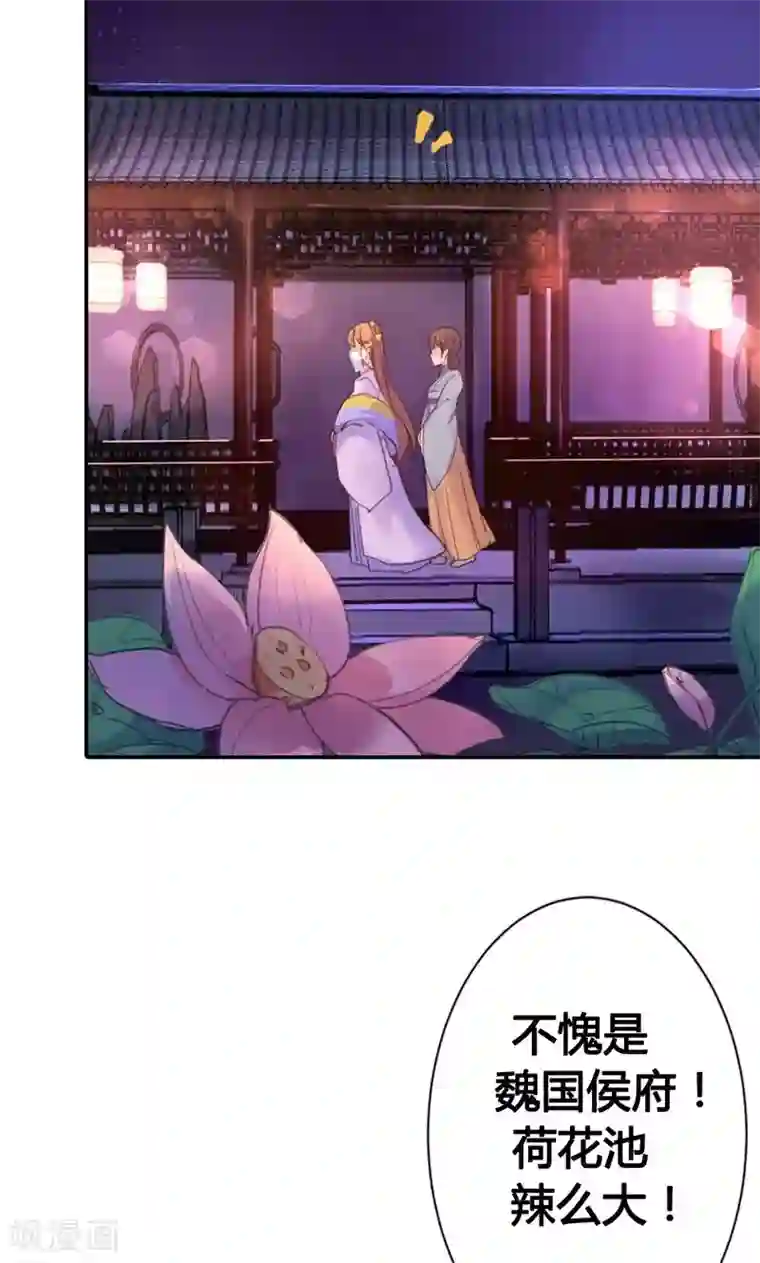 美人策第11话 萍水相逢