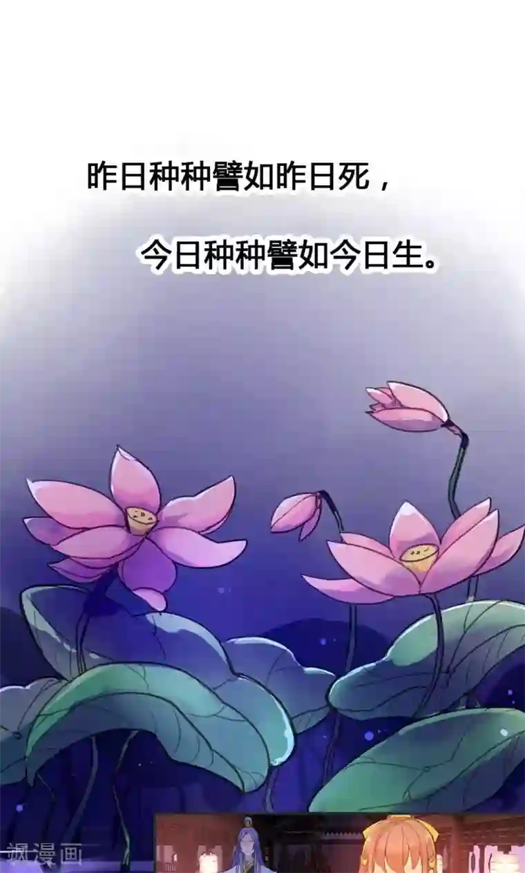 美人策第11话 萍水相逢