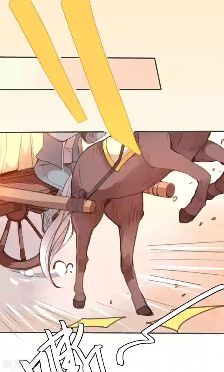 美人策第29话 谁要成亲？