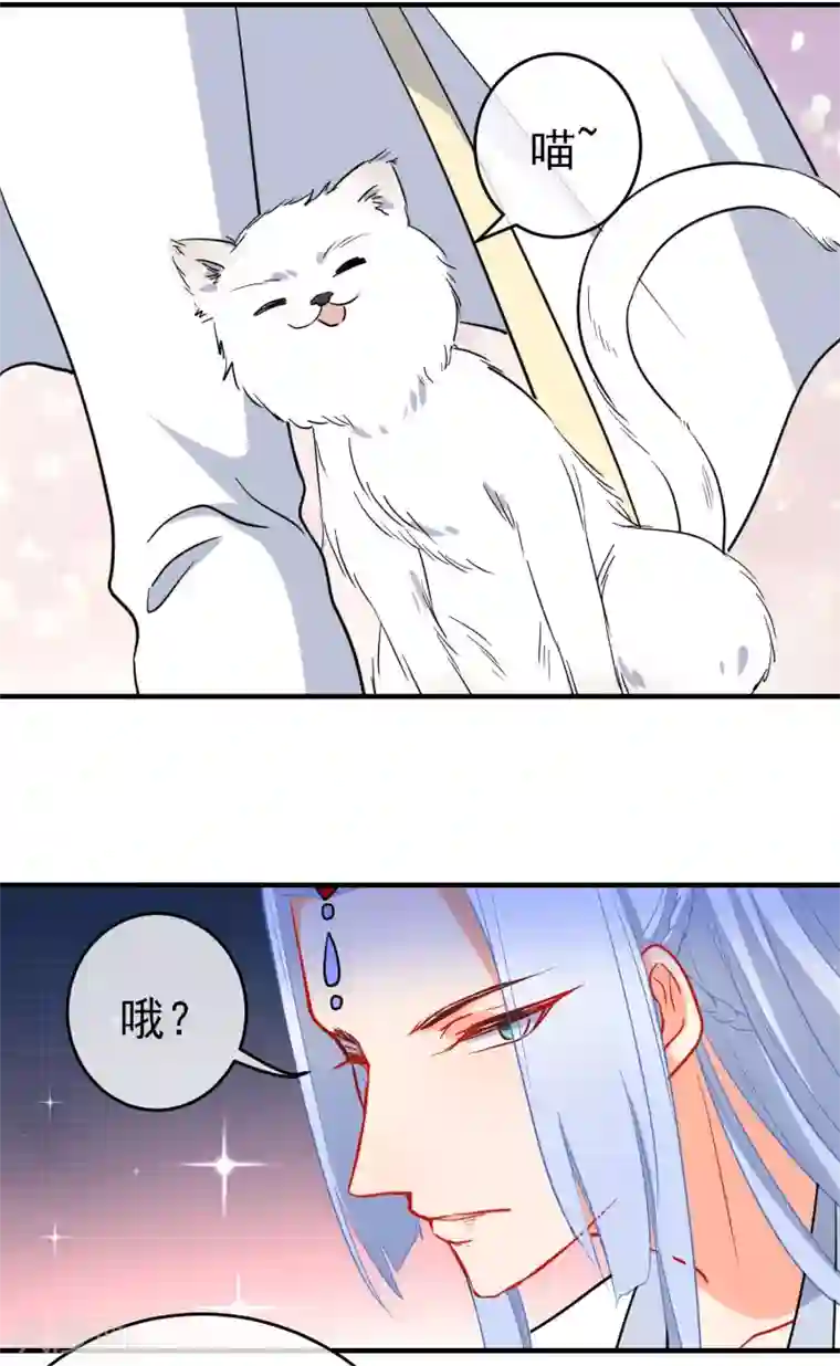 狼少女养成记第144话 猫的主人