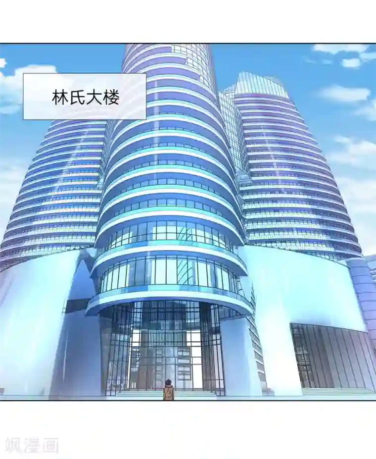 护花兵王在都市第17话 林氏集团