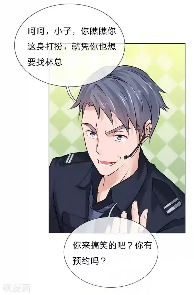 护花兵王在都市第17话 林氏集团