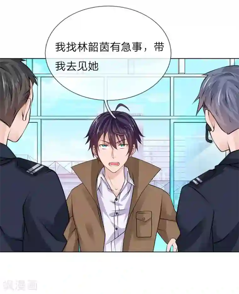 护花兵王在都市第17话 林氏集团