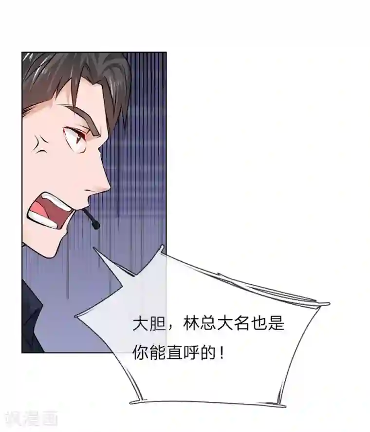 护花兵王在都市第17话 林氏集团