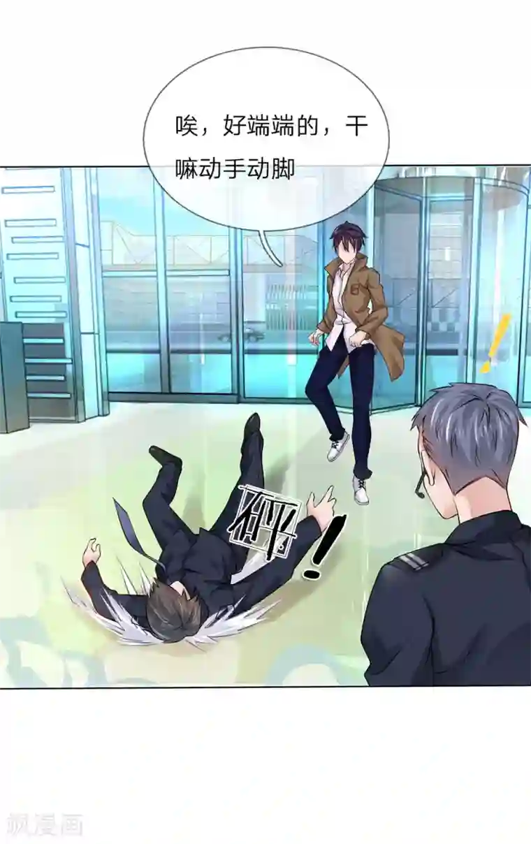 护花兵王在都市第17话 林氏集团