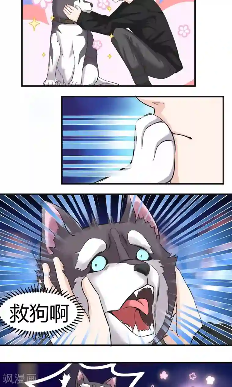 萌妻有点皮第6话 救狗啊
