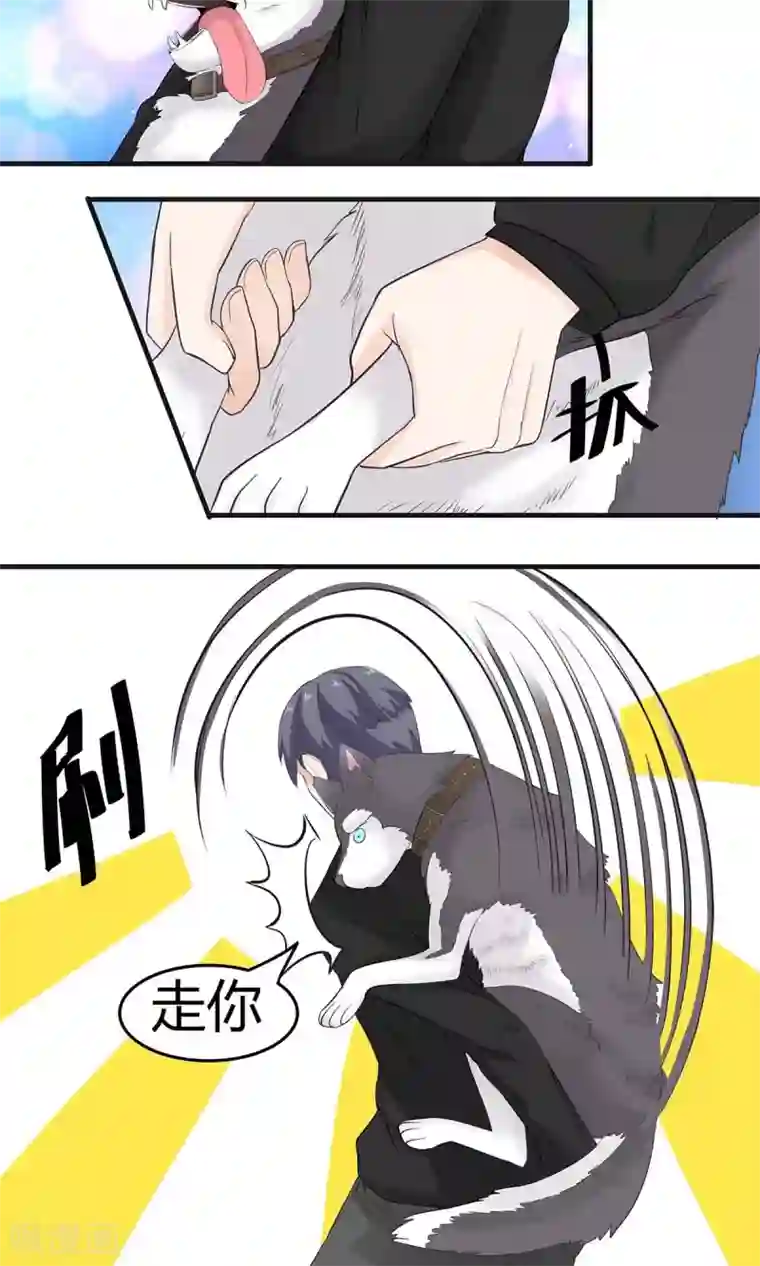 萌妻有点皮第6话 救狗啊