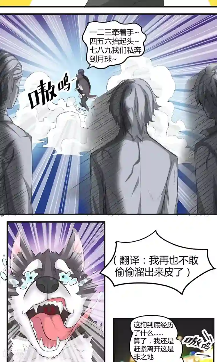 萌妻有点皮第6话 救狗啊