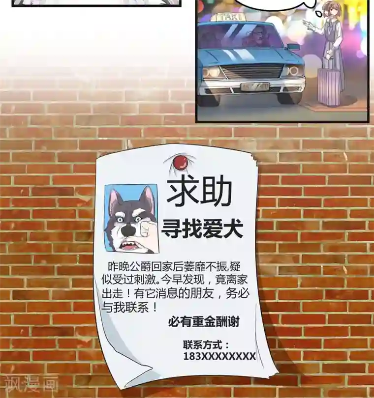 萌妻有点皮第6话 救狗啊