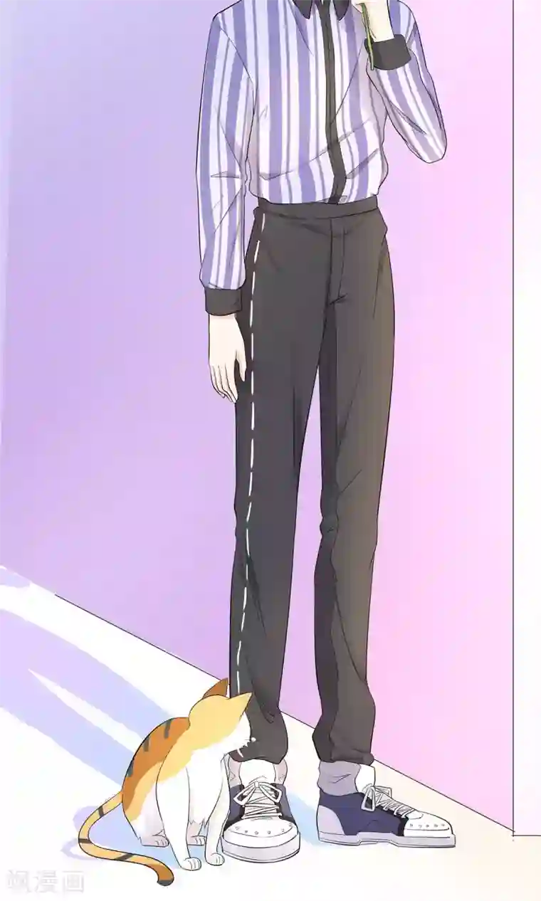 萌妻有点皮第25话 偶遇大布局