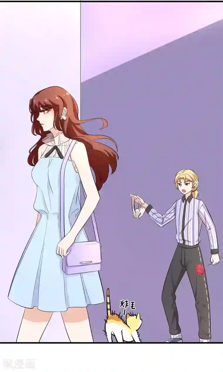 萌妻有点皮第25话 偶遇大布局