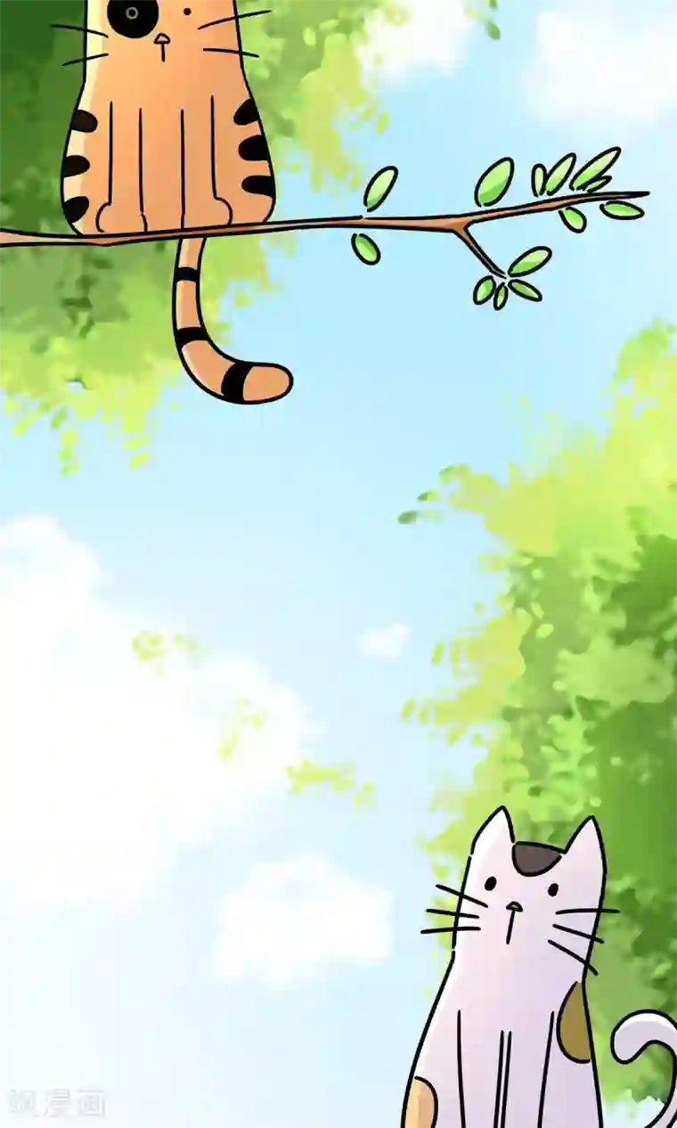 萌妻有点皮第25话 偶遇大布局