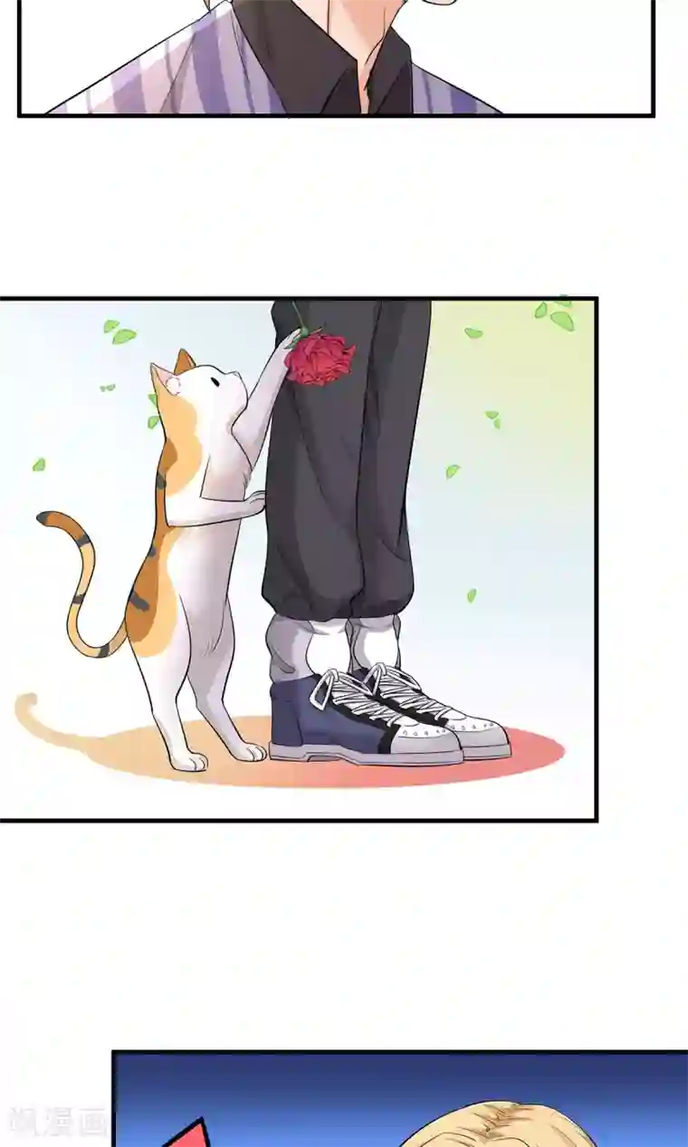 萌妻有点皮第25话 偶遇大布局