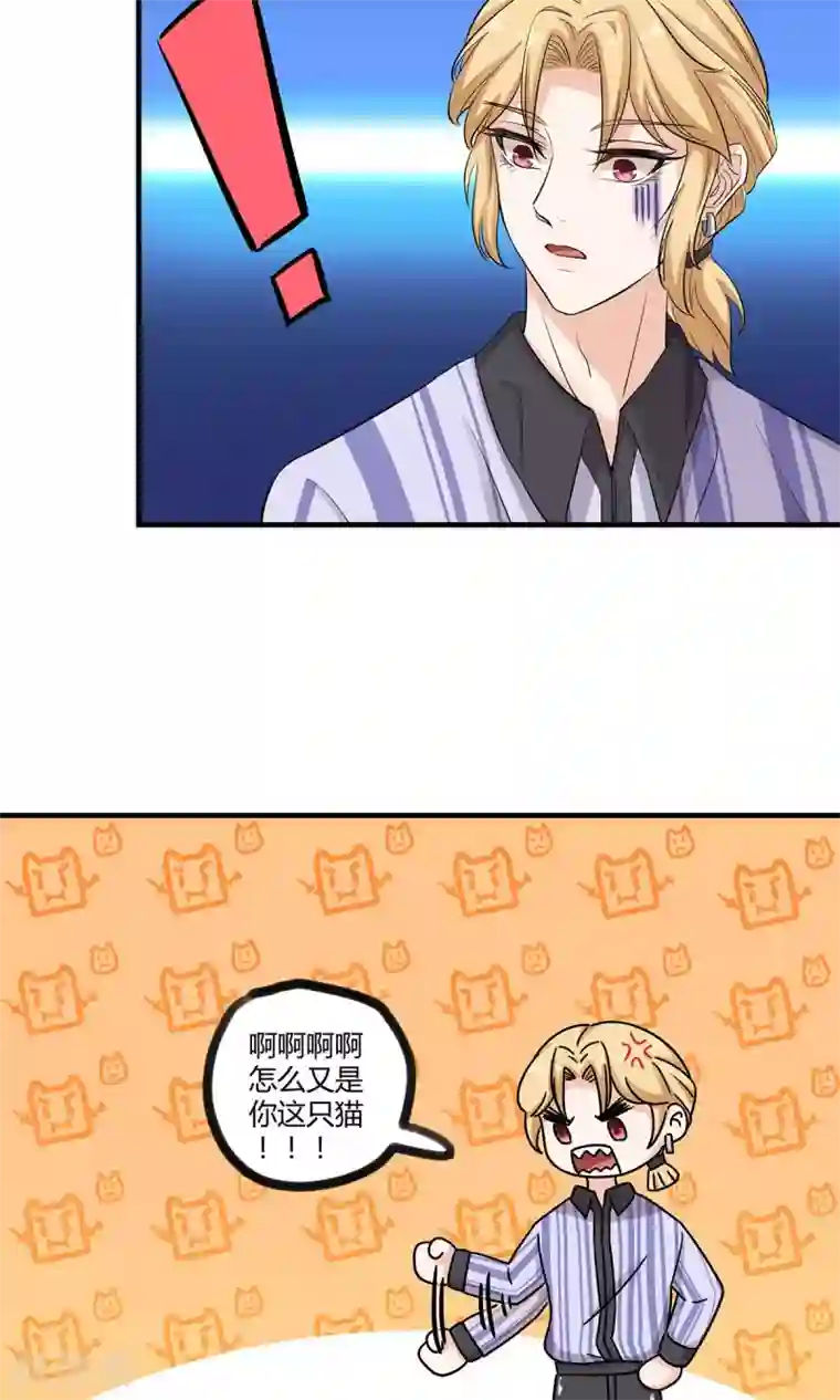 萌妻有点皮第25话 偶遇大布局