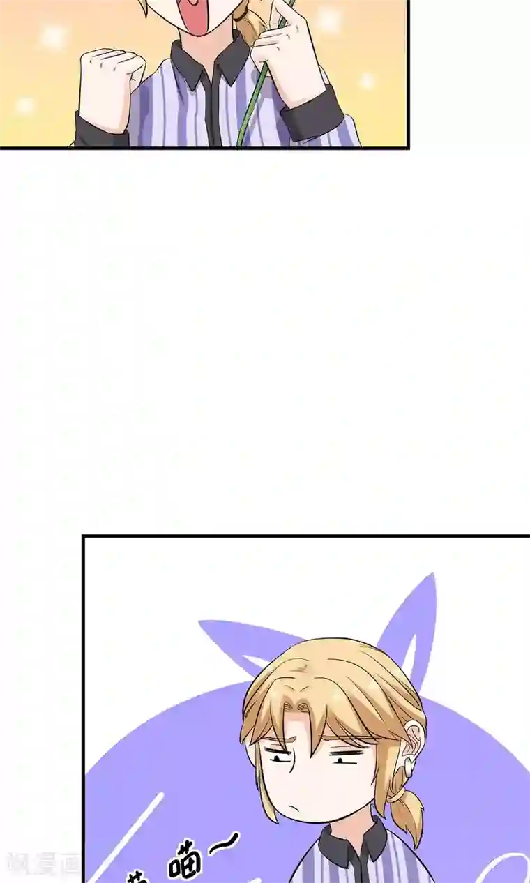 萌妻有点皮第25话 偶遇大布局