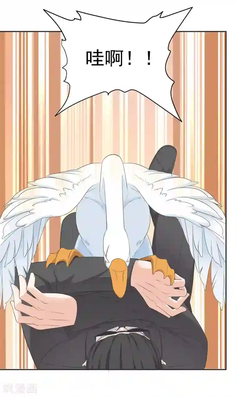 萌妻有点皮第84话 鹅！鹅！鹅！