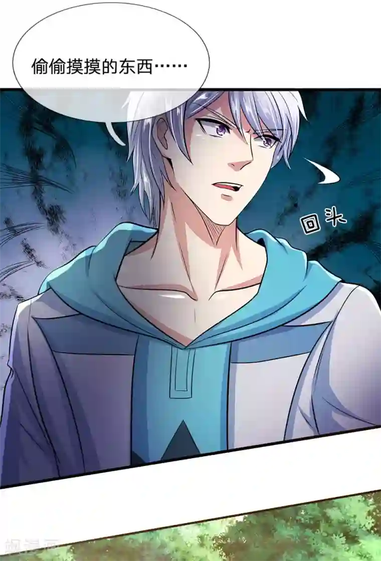 都市之逆天仙尊第28话 偷偷摸摸的东西