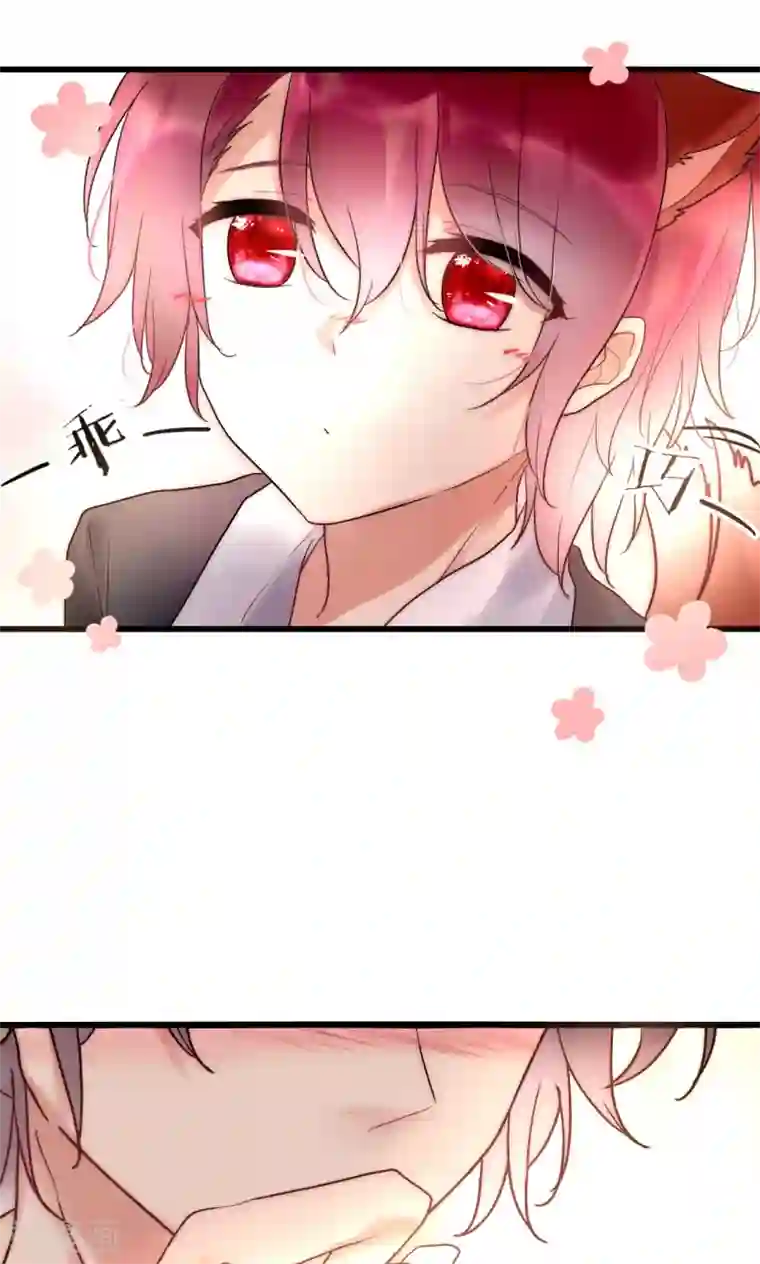 男神心动记第46话 大型撒狗粮现场