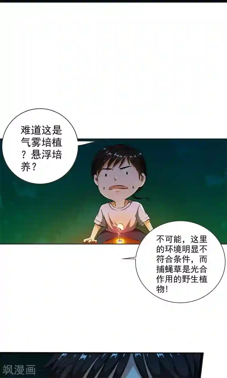 少年，你是哪根草第4话 神奇的扑蝇草！！！
