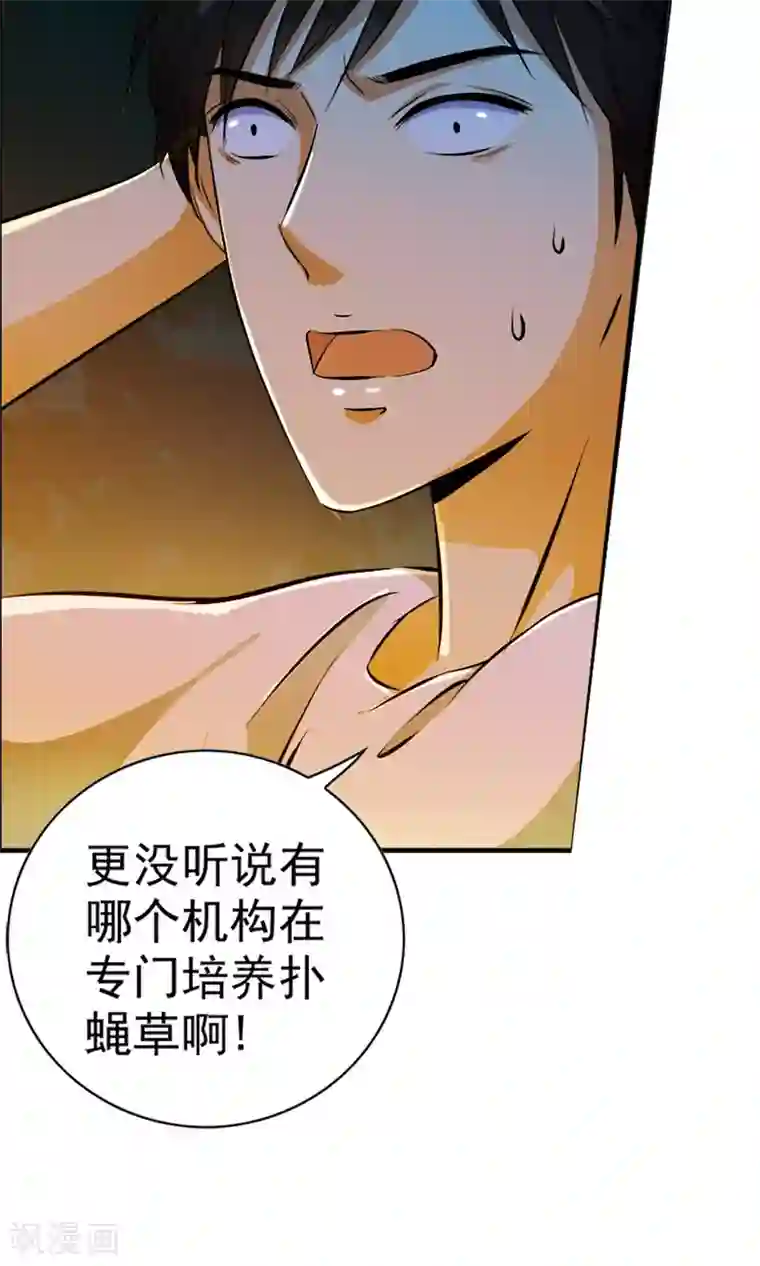 少年，你是哪根草第4话 神奇的扑蝇草！！！