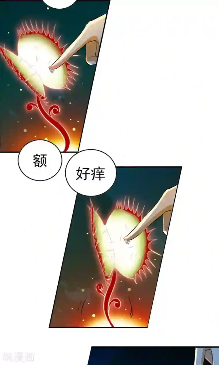 少年，你是哪根草第4话 神奇的扑蝇草！！！