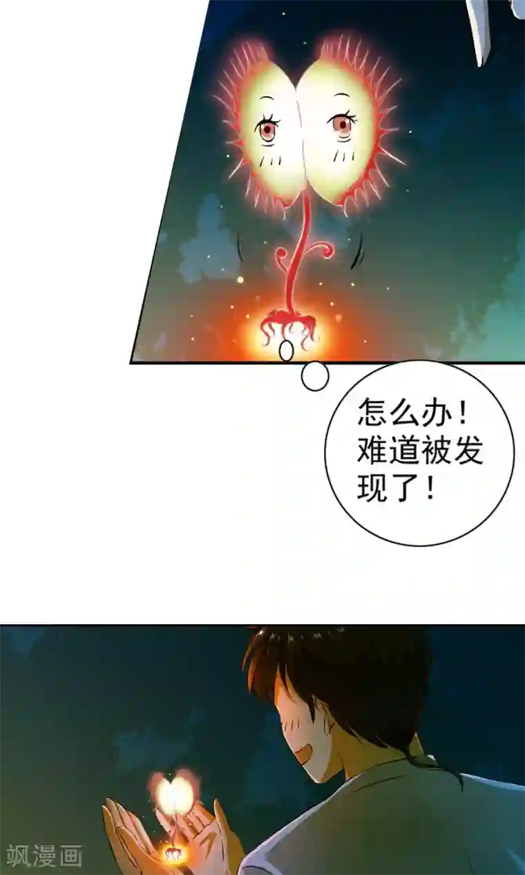 少年，你是哪根草第4话 神奇的扑蝇草！！！