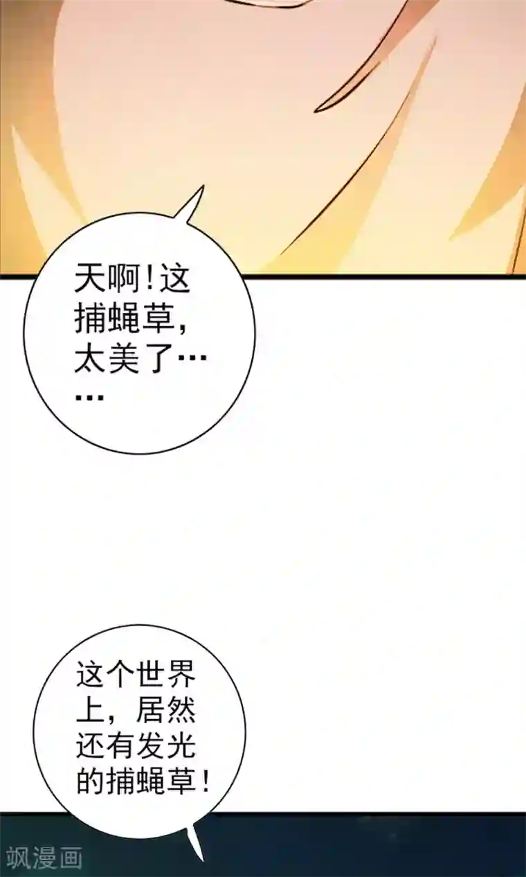 少年，你是哪根草第4话 神奇的扑蝇草！！！