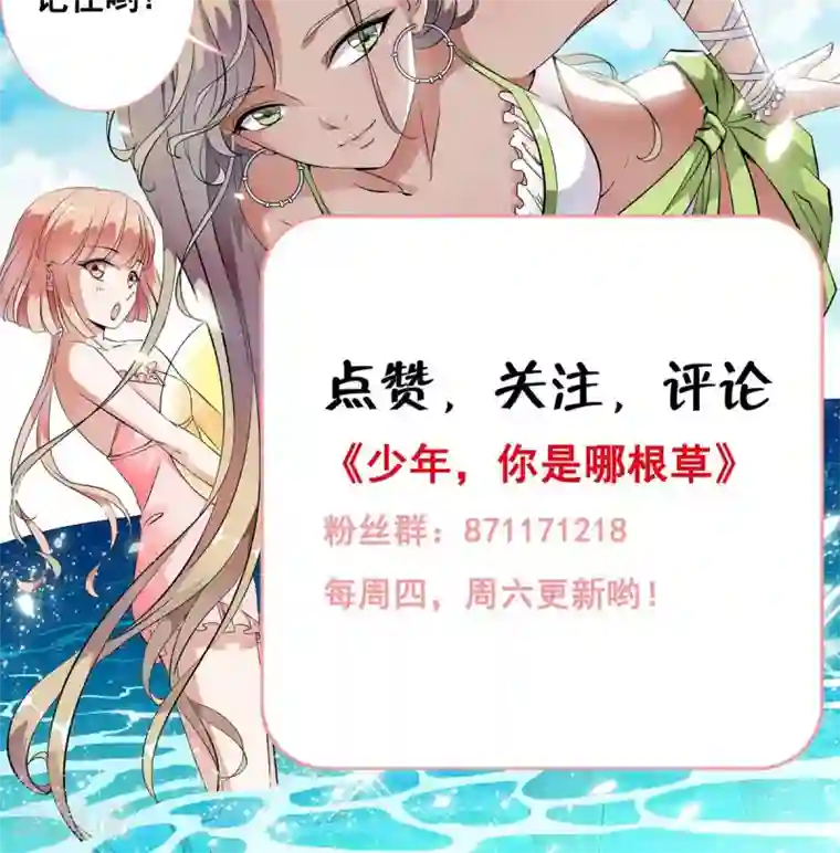 少年，你是哪根草第11话 一根草的伪装！！