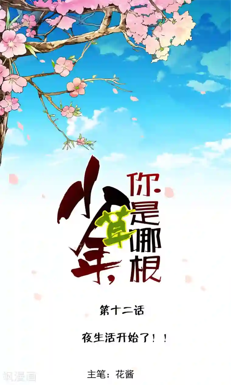 少年，你是哪根草第12话 夜生活开始了！！