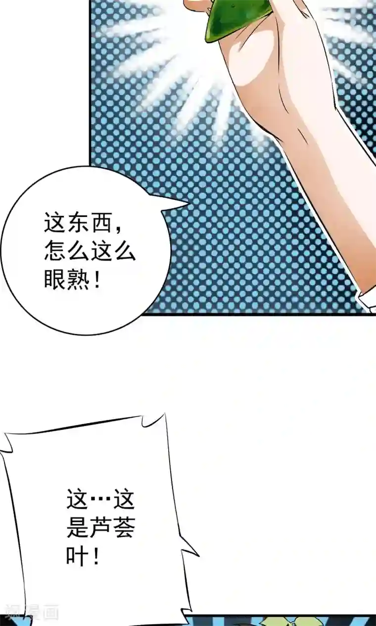 少年，你是哪根草第26话 原来是个芦荟男！